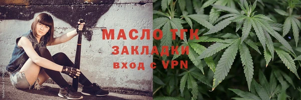 прущие грибы Вязники