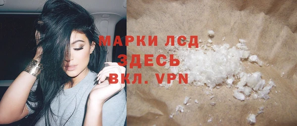 прущие грибы Вязники