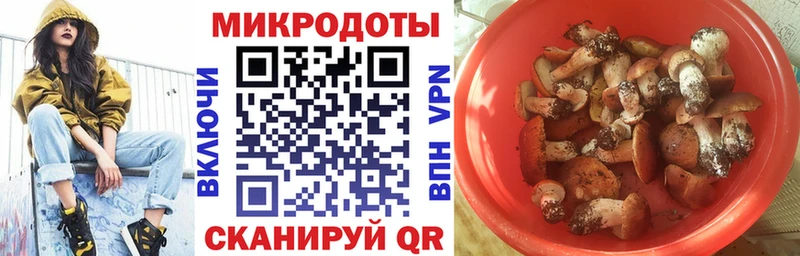 darknet как зайти  Гусев  Псилоцибиновые грибы ЛСД  наркотики 